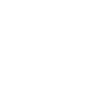 cog icon