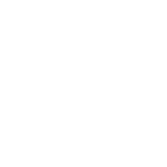 idea icon